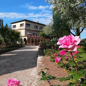 Villa Paradiso